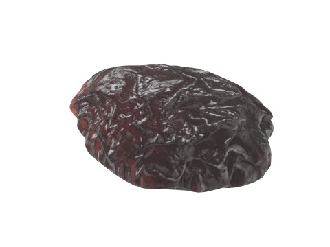 Raisin 3D 모델