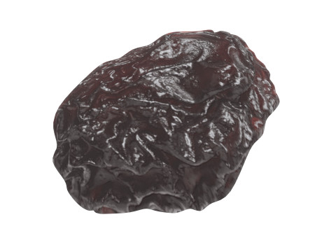 Raisin 3D 모델