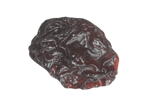 Raisin 3D 모델
