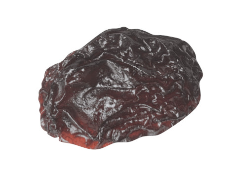 Raisin 3D 모델