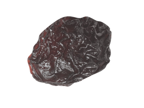 Raisin 3D 모델
