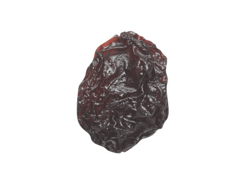 Raisin 3D 모델