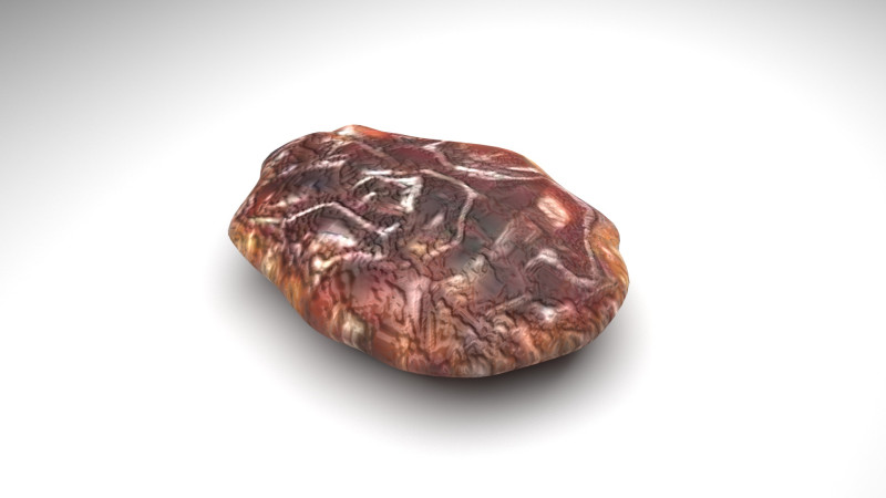 Raisin 3D Model .c4d .max .obj .3ds .fbx .stl .blend 