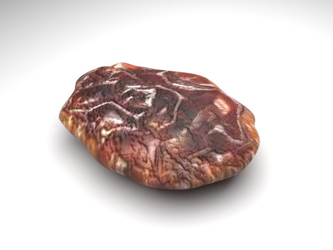 Raisin Model 3D