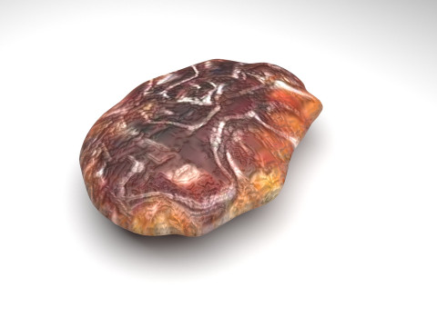 Raisin 3D Model