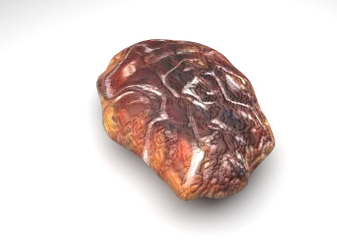 Raisin 3D Model