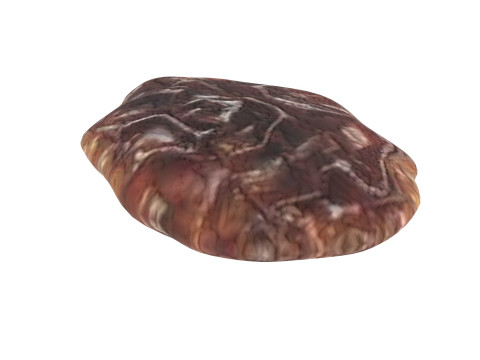 Raisin 3D Model
