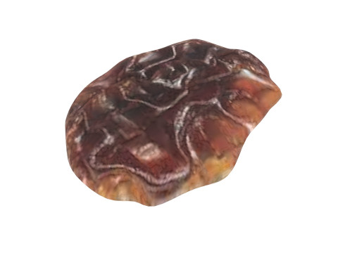 Raisin 3D Model