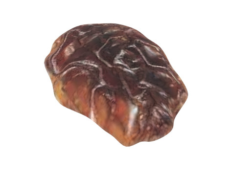 Raisin 3D Model