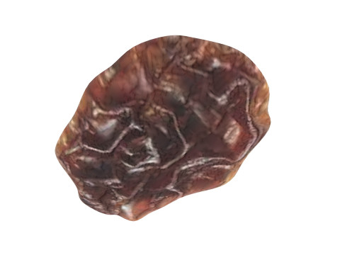 Raisin 3D Model