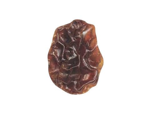 Raisin 3D Model