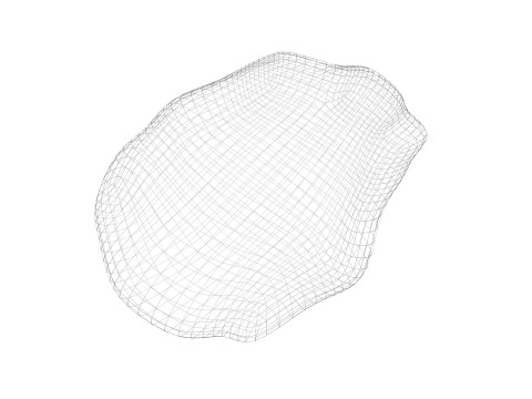 Raisin 3D Model