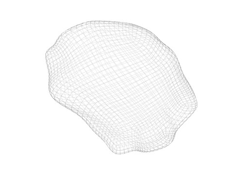 Raisin 3D Model