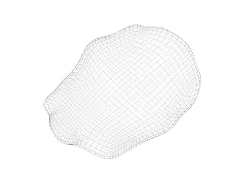 Raisin 3D Model