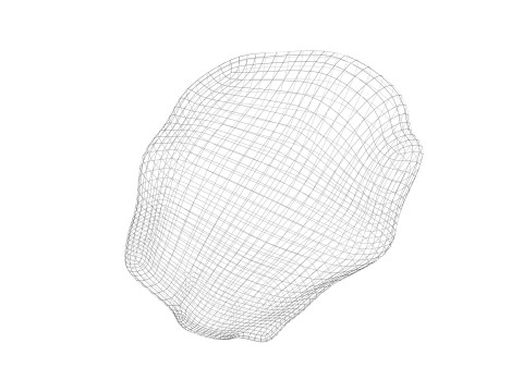 Raisin 3D Model
