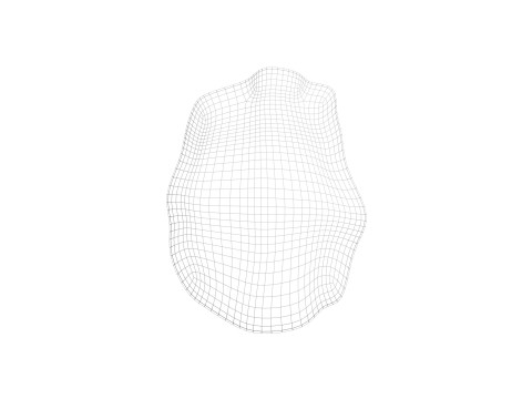 Raisin 3D Model