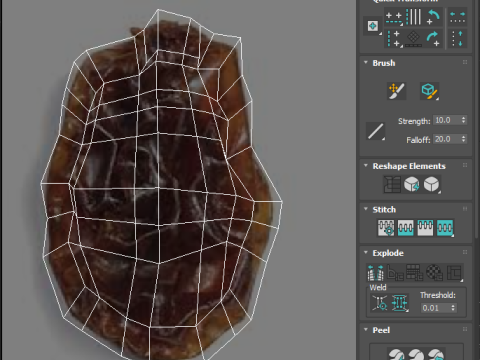Raisin 3D Model