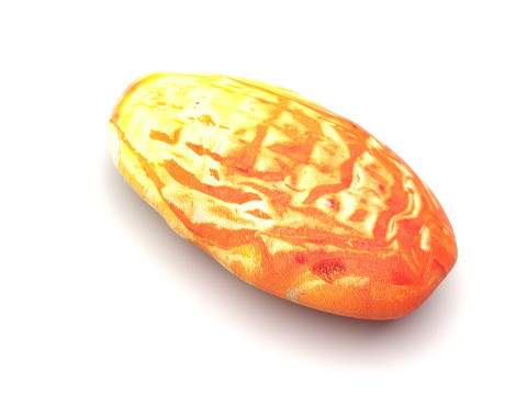 Raisin 3D Model