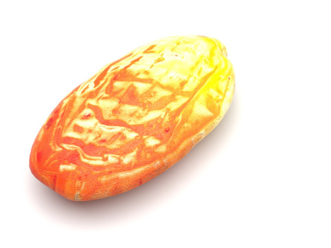 Raisin 3D 模型