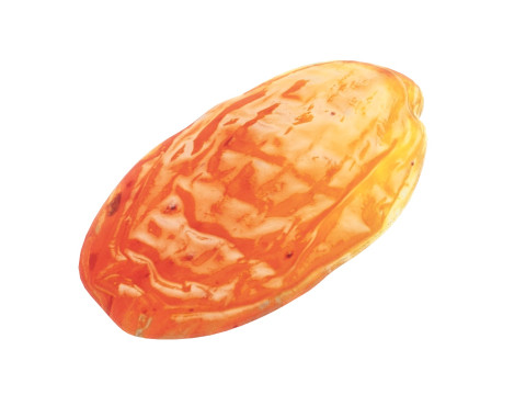Raisin 3D 模型