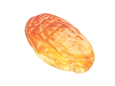 Raisin 3D 模型