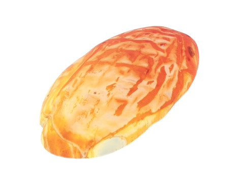 Raisin 3D 模型