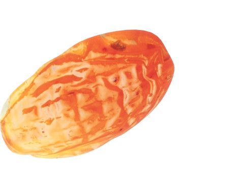 Raisin 3D 模型
