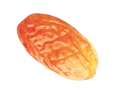 Raisin 3D 模型