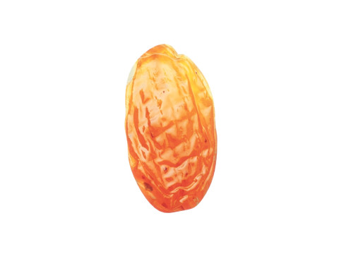 Raisin 3D 模型