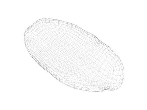 Raisin 3D 模型