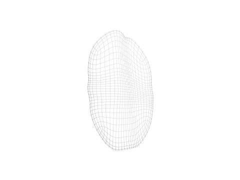 Raisin 3D 模型