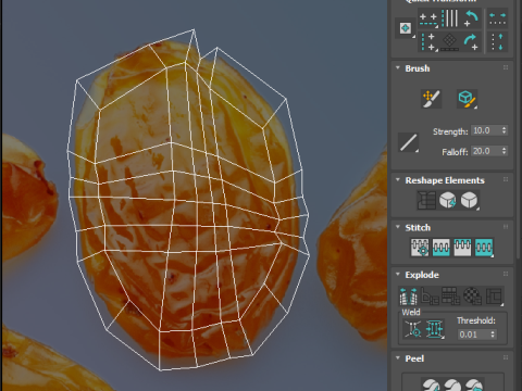 Raisin 3D 模型