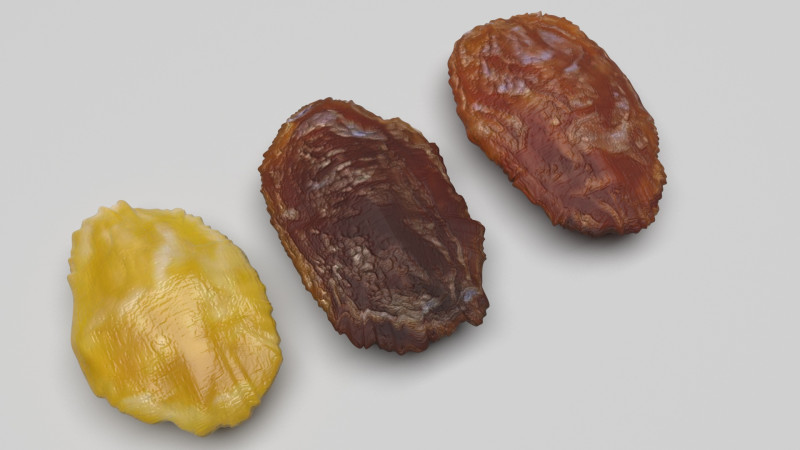 Raisins Set 3D-Modell .c4d .max .obj .3ds .fbx .stl .blend 