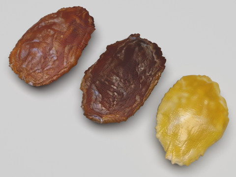 Raisins Set 3D-Modell