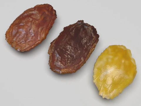 Conjunto de pasas Modelo 3D