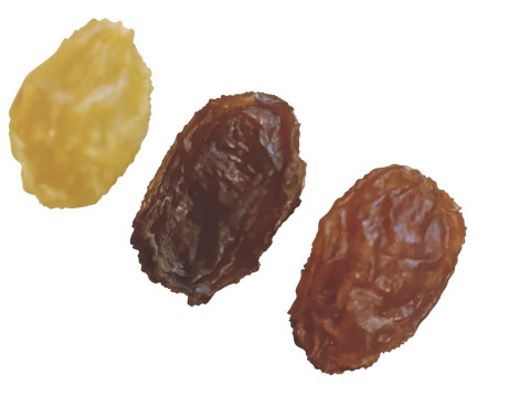 Raisins Set 3D-Modell