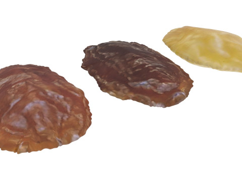 Raisins Set 3D-Modell