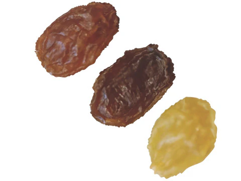 Conjunto de pasas Modelo 3D