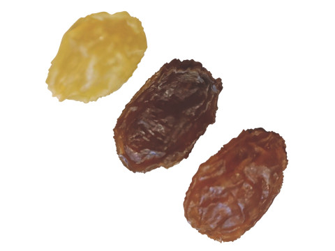 Raisins Set 3D-Modell