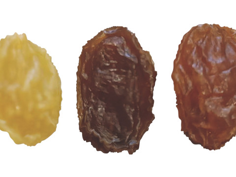 Raisins Set 3D-Modell