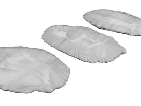 Raisins Set 3D-Modell