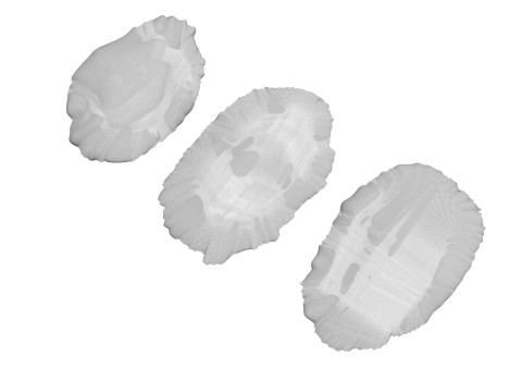 Raisins Set 3D-Modell