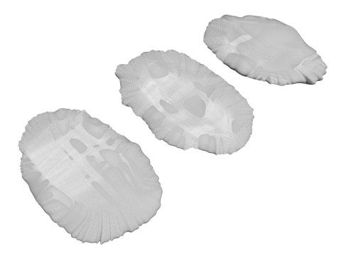 Raisins Set 3D-Modell