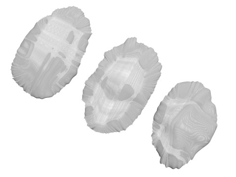 Raisins Set 3D-Modell