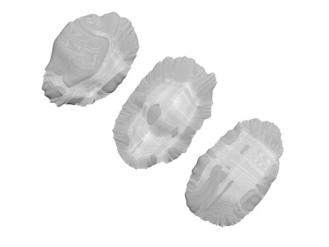 Raisins Set 3D-Modell
