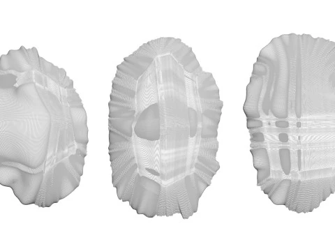 Conjunto de pasas Modelo 3D