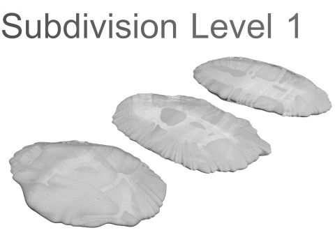 Conjunto de pasas Modelo 3D