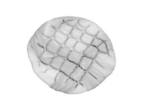 Turkish Pide 3D Model