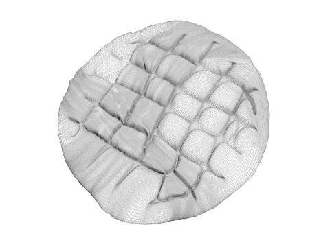 Turkish Pide 3D Model