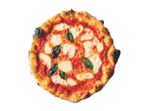 Margherita Pizza 3D Model